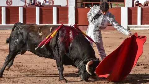 toros zamora san pedro 2024 (6)