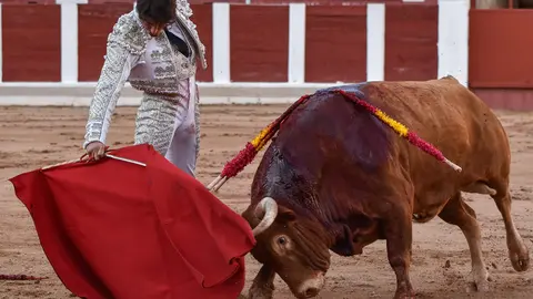 toros zamora san pedro 2024 (13)