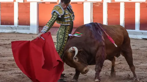 toros zamora san pedro 2024 (14)