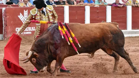 toros zamora san pedro 2024 (17)