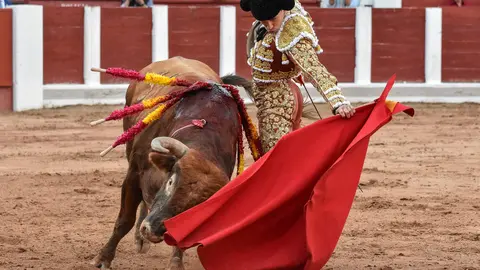 toros zamora san pedro 2024 (18)