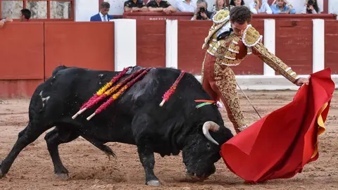 toros zamora san pedro 2024 (19)