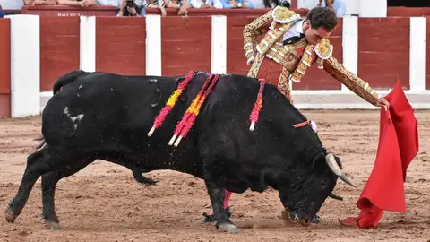 toros zamora san pedro 2024 (20)