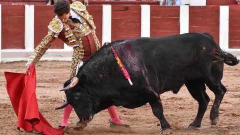 toros zamora san pedro 2024 (22)