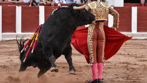 toros zamora san pedro 2024 (23)