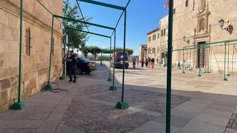 Retirada feria del ajo