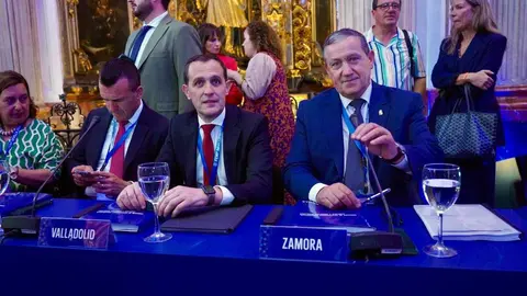 Javier Faúndez en la Comisión de Diputaciones, Cabildos y Consells Insulares de la FEMP