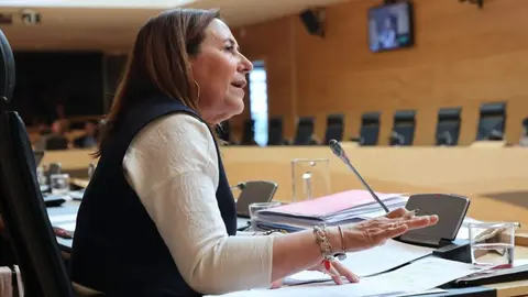 Rosa Rubio. imagen PSOE