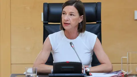 portavoz de Movilidad y Transformación Digital del Grupo Socialista en las Cortes de Castilla y León, Laura Pelegrina