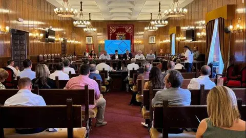 Reunion. Imagen de la Diputación de Zamora