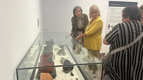 exposición arqueológica sobre El Castillón de Santa Eulalia de Tábara