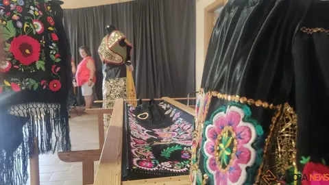 XXXIII Día de la Comarca de Aliste, Tábara y Alba_13