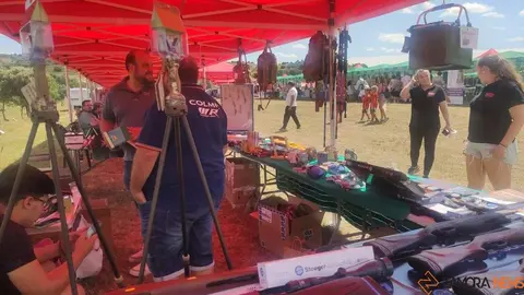 XXXIII Día de la Comarca de Aliste, Tábara y Alba_19
