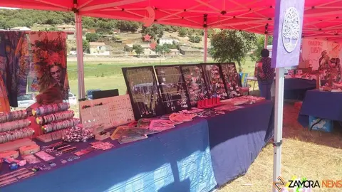 XXXIII Día de la Comarca de Aliste, Tábara y Alba_22