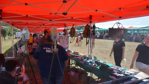 dia de la comarca en imágenes_78