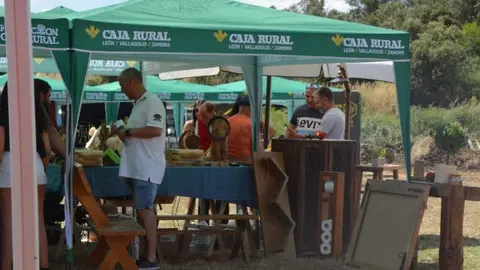 dia de la comarca en imágenes_85
