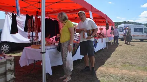 dia de la comarca en imágenes_92