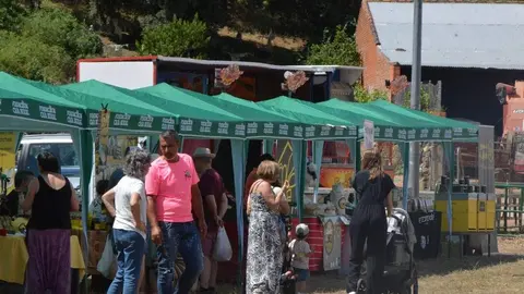 dia de la comarca en imágenes_102