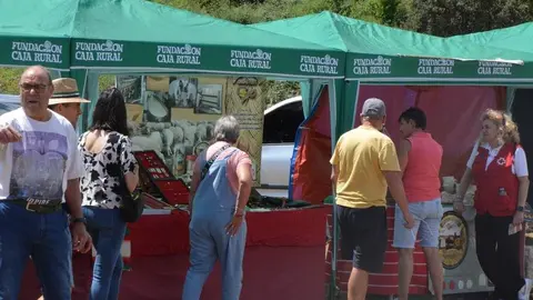 dia de la comarca en imágenes_114