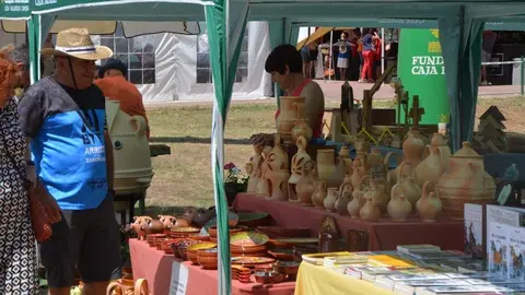 dia de la comarca en imágenes_115