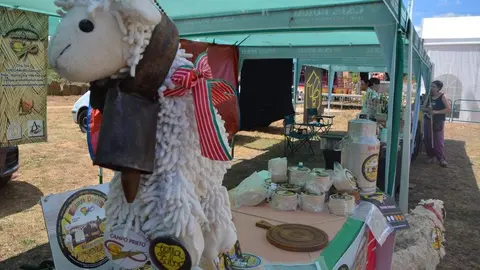 dia de la comarca en imágenes_126