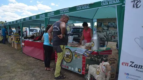dia de la comarca en imágenes_130