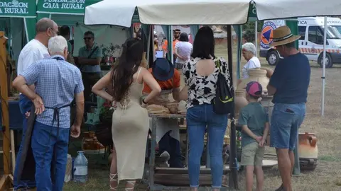 dia de la comarca en imágenes_133