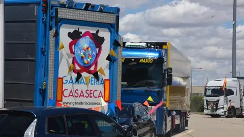 San Cristobal 2024 (3)