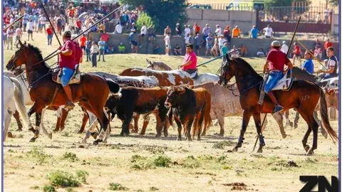 WhatsApp Image 2024-07-07 at 18.34.09