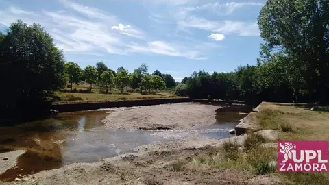 Rosinos de la requejada