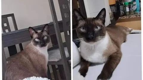 WhatsApp Image 2024-07-14 at 18.55.25 (1)