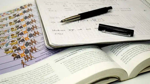 Estudios Archivo