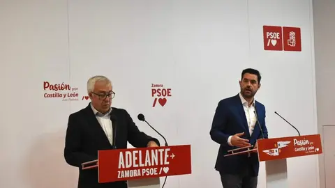 Psoe zamora