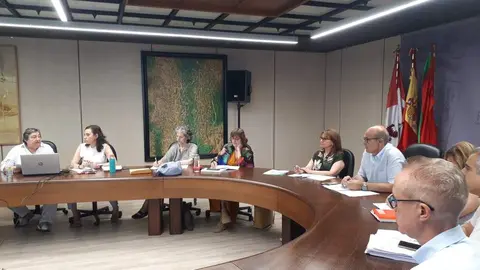 Comisión T. Patrimonio julio