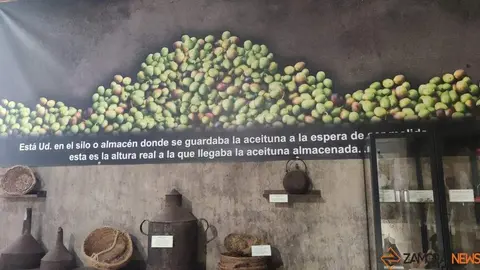 aceite fermoselle_15