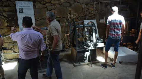 aceite fermoselle_72