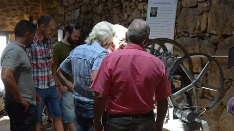 aceite fermoselle_80