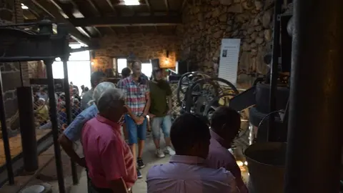 aceite fermoselle_83