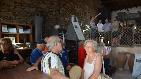 aceite fermoselle_96