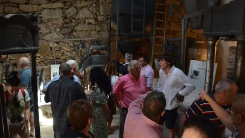 aceite fermoselle_99