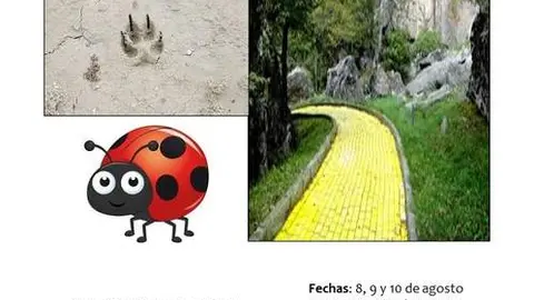 Cartelería Difusión actividades AGOSTO FERMOSELLE