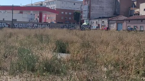 Solares sin desbrozar en Pinilla (julio 2024)