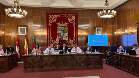 pleno diputación mes de agosto