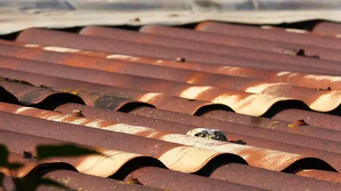 roof-1134213_1280