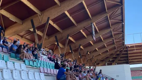 Amistoso Zamora CF_2