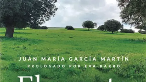 lantia_cover_6641ba9f9a376_360