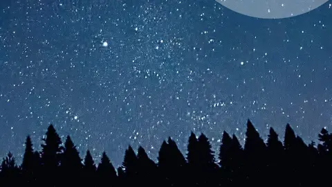 Perseidas Villadeciervos