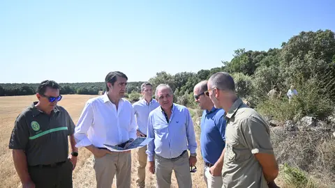 Proyecto Reintroducción Lince Ibérico