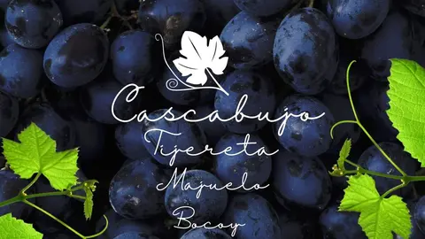 454203794_894603742715694_608334708990282783_n