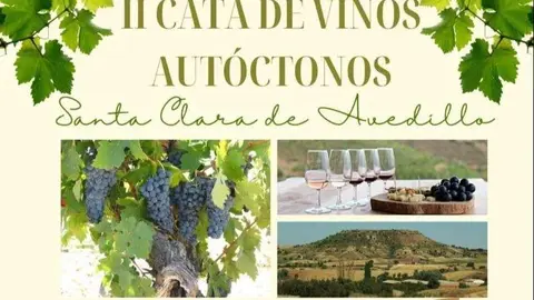 Cata de vinos Avedillo